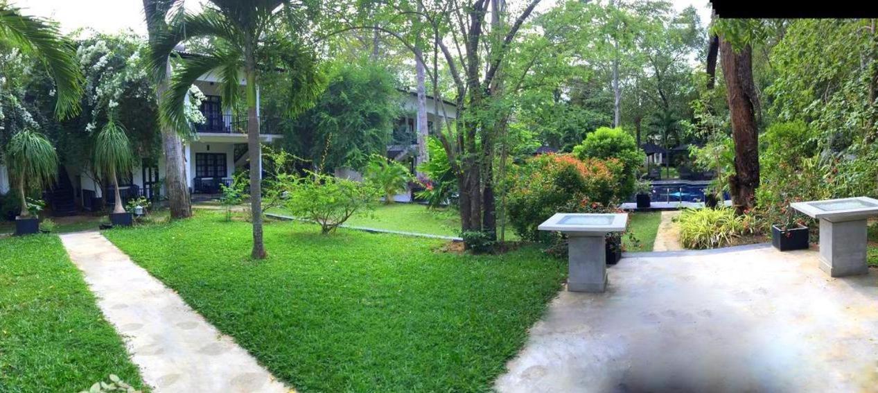 Flower Garden Eco Village Sigiriya Dış mekan fotoğraf