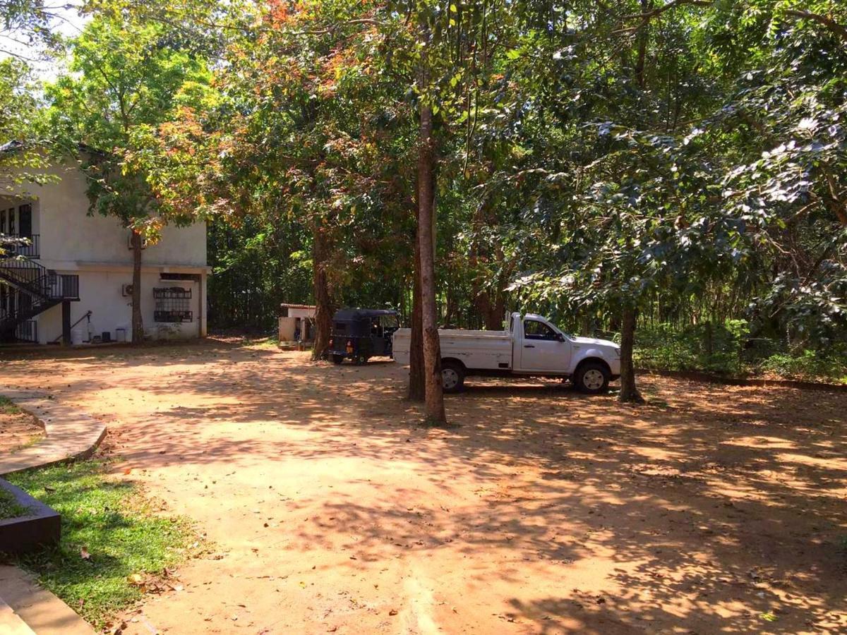 Flower Garden Eco Village Sigiriya Dış mekan fotoğraf
