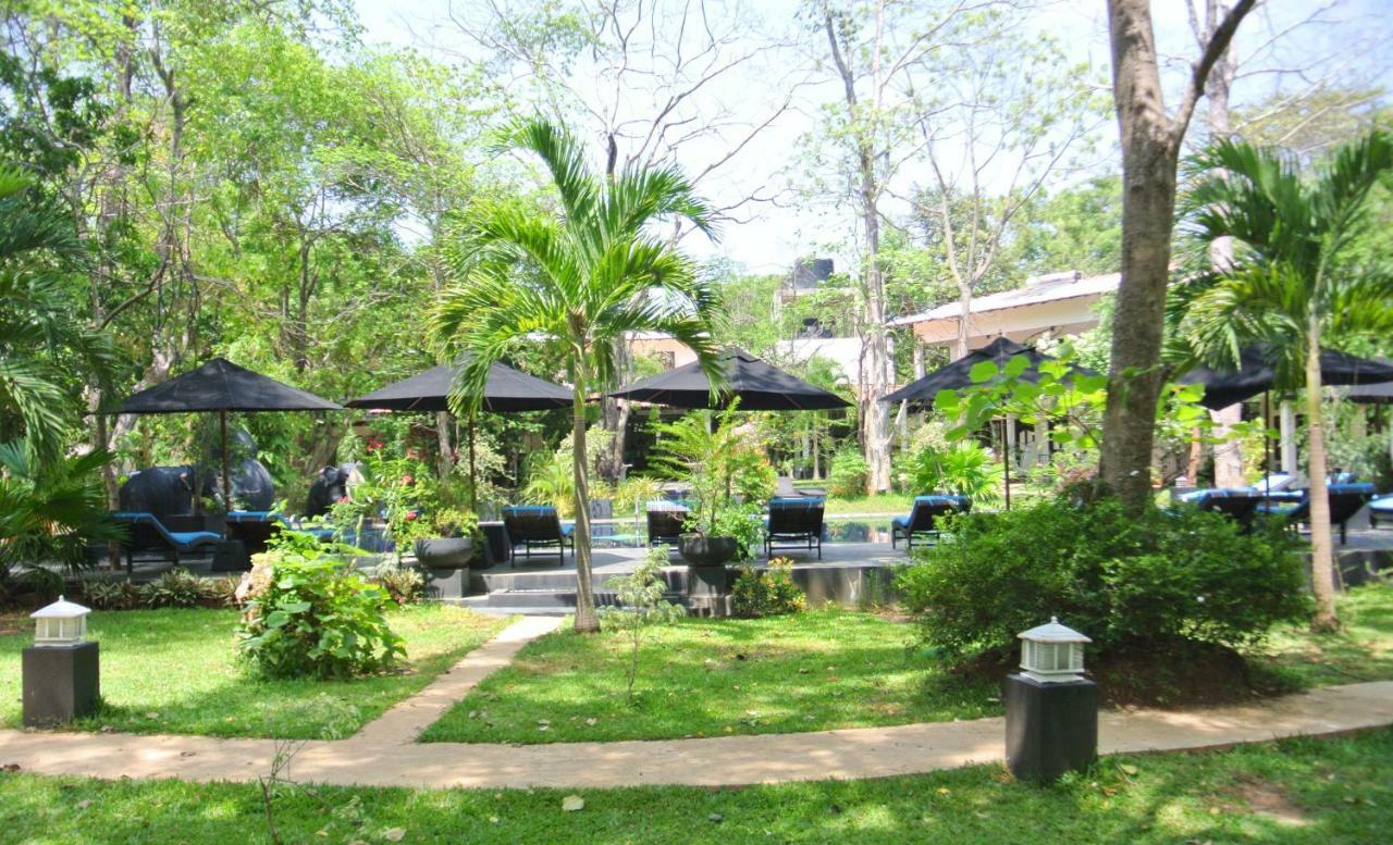 Flower Garden Eco Village Sigiriya Dış mekan fotoğraf