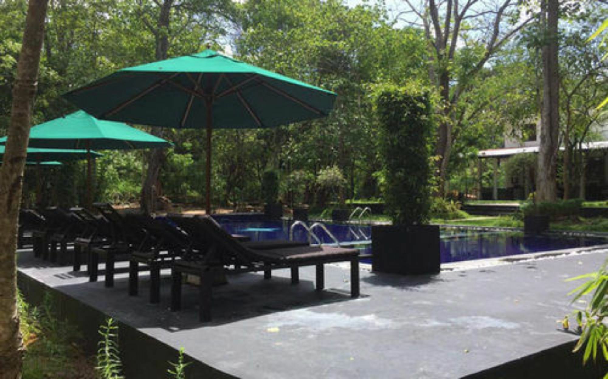 Flower Garden Eco Village Sigiriya Dış mekan fotoğraf